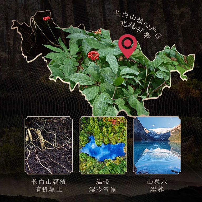 Changbai Mountain Ginseng, Red Ginseng Slices, Gift Box, 100g/Box