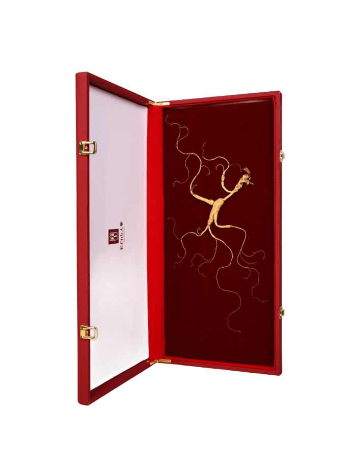 【Deluxe Gift Box】High-quality wild ginseng is a must-have gift.