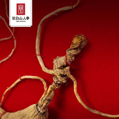 【Deluxe Gift Box】High-quality wild ginseng