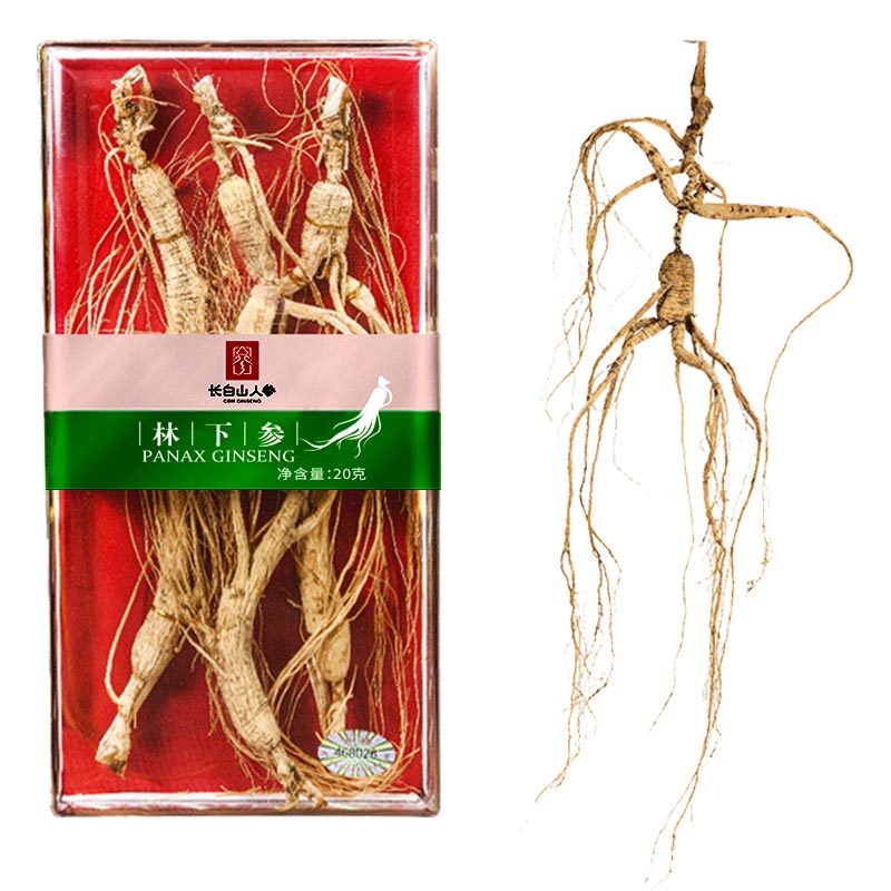 Changbai Mountain Ginseng, Ginseng Under Forest, Gift Box, 30g/Box
