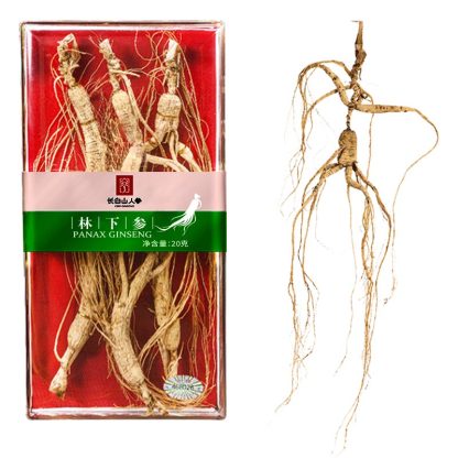 Changbai Mountain Ginseng, Ginseng Under Forest, Gift Box, 30g/Box