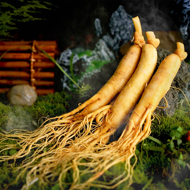 Gift: Mini Fresh Ginseng Sticks*3