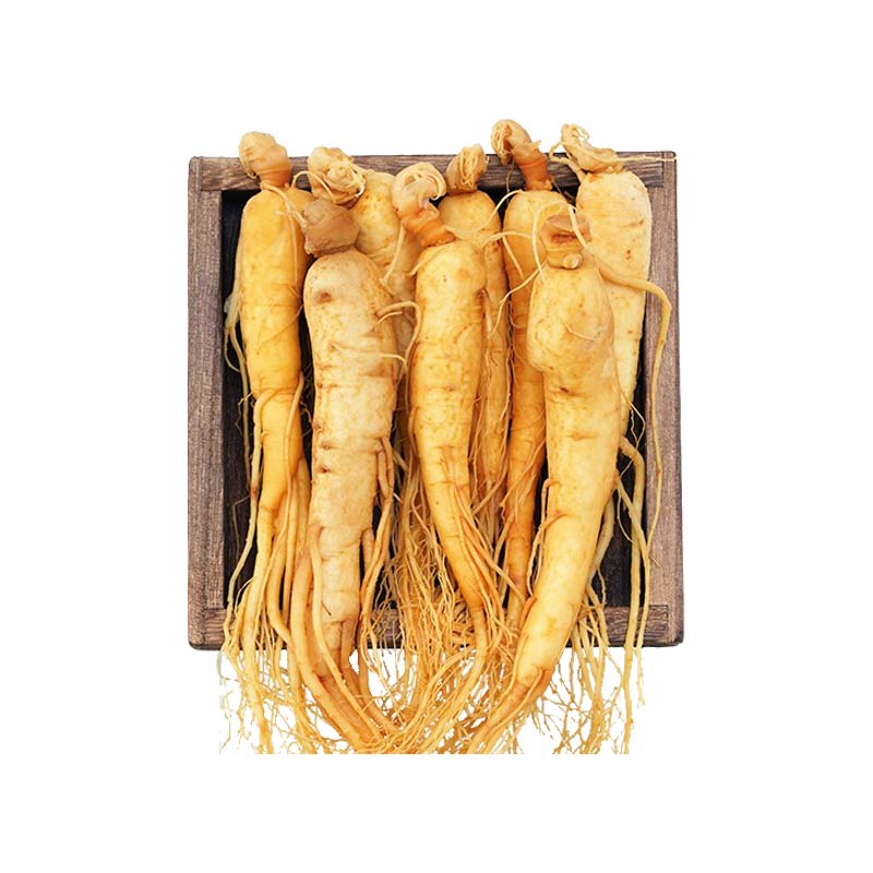 Fresh-Preserved Ginseng, 180g/box - Changbai Mountain Ginseng-CBM GINSENG