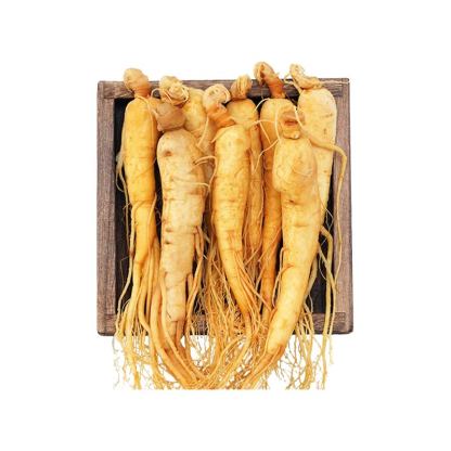 Fresh-Preserved Ginseng, 150g/box - Changbai Mountain Ginseng