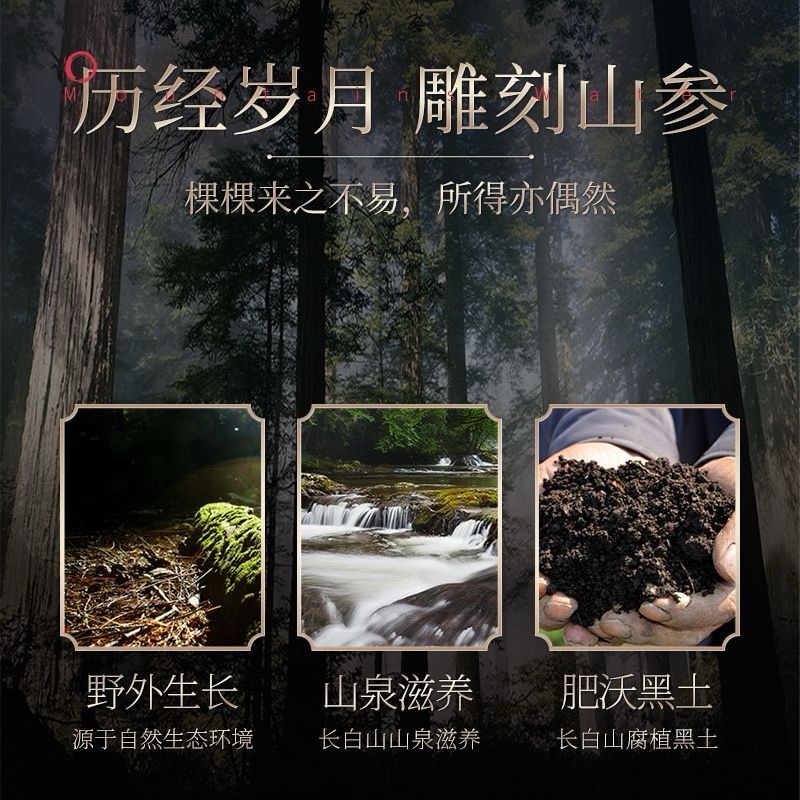 Changbai Mountain Ginseng, Ginseng Under Forest, Gift Box, 30g/Box