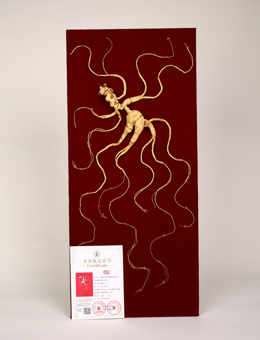 【Deluxe Gift Box】High-quality wild ginseng is a must-have gift.