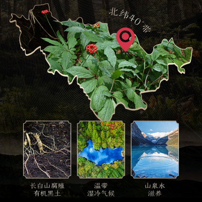Changbai Mountain Ginseng with Whole Roots, Sun-Dried Ginseng (Gift Box),