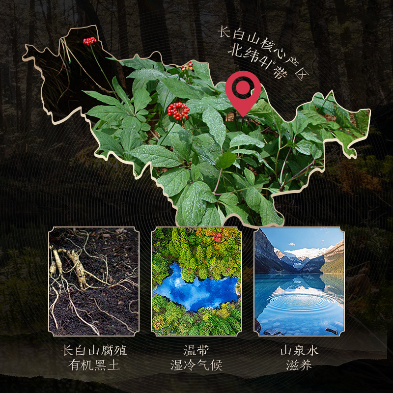 Changbai Mountain Ginseng with Whole Roots, Sun-Dried Ginseng,