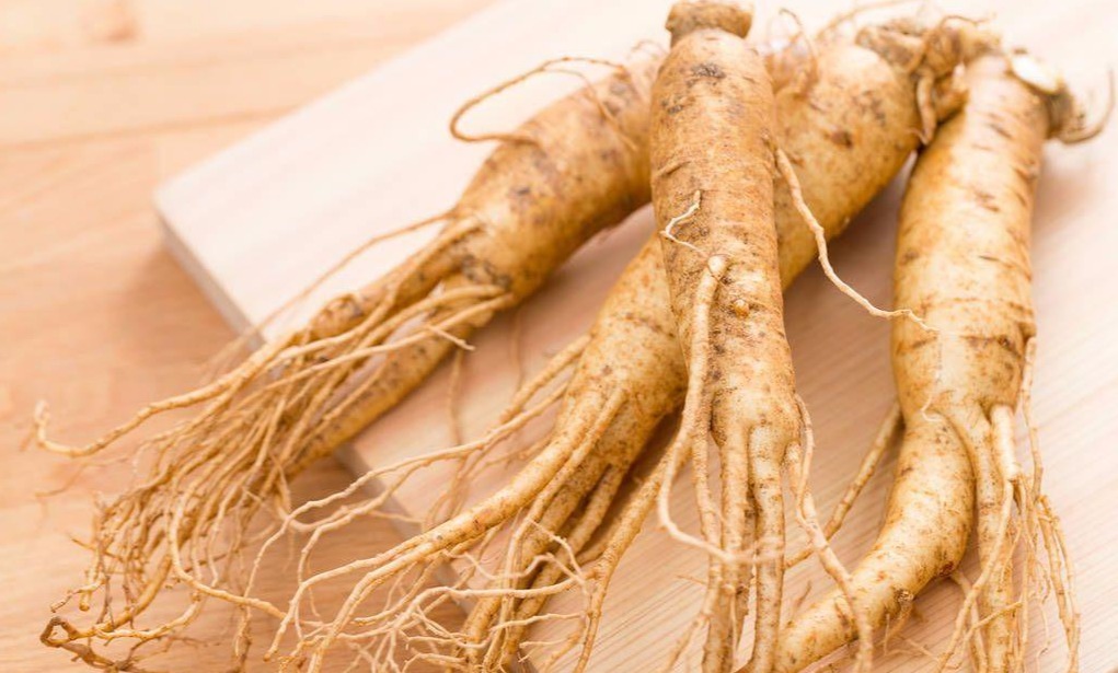 The Efficacy of Ginseng: A Modern Analysis of a Traditional Treasure-CBM GINSENG