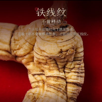 15-Year-Old Premium Wild Ginseng, Changbai Mountain Ginseng