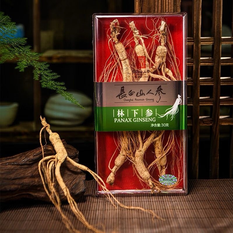 Ginseng Under Forest, Gift Box-Changbai Mountain Ginseng-CBM GINSENG