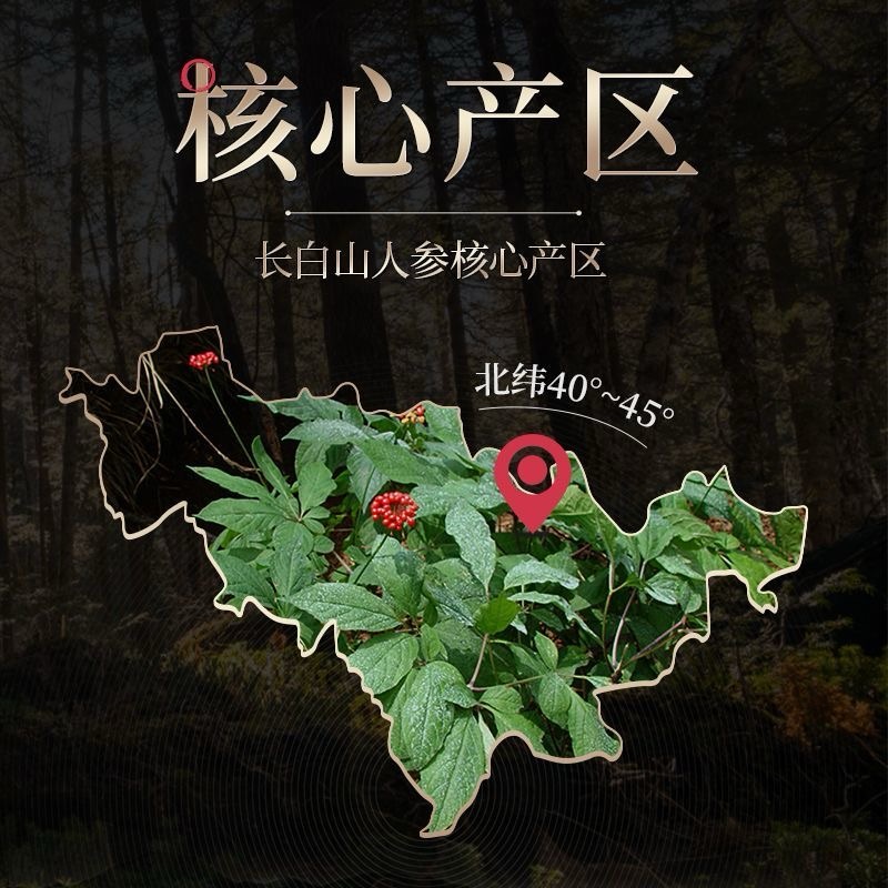 Changbai Mountain Ginseng, Ginseng Under Forest, Gift Box, 30g/Box