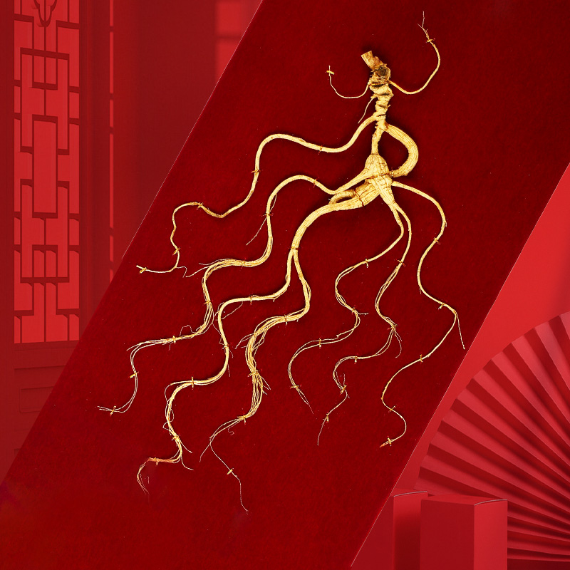 15-Year-Old Premium Wild Ginseng, Changbai Mountain Ginseng