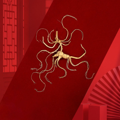 30-Year-Old Premium Wild Ginseng, Changbai Mountain Ginseng