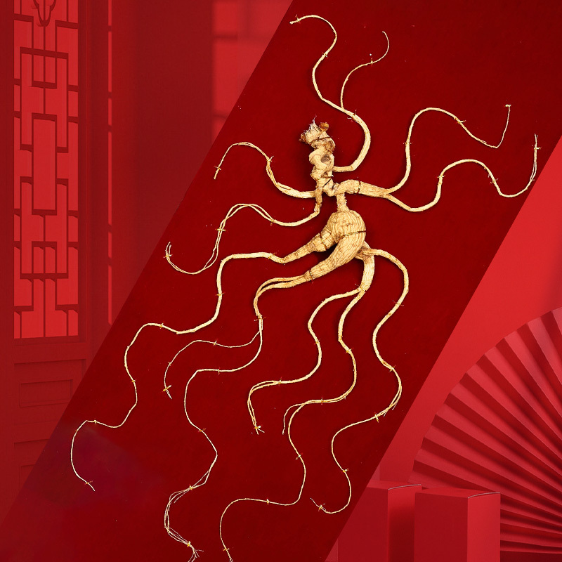 20-Year-Old Premium Wild Ginseng, Changbai Mountain Ginseng