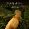 Changbai Mountain Ginseng Fresh Ginseng 30g