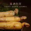 Changbai Mountain Ginseng Fresh Ginseng 30g