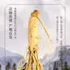 Active Freeze-Dried White Ginseng Slices, 25g/Can-Changbai Mountain Ginseng-CBM GINSENG