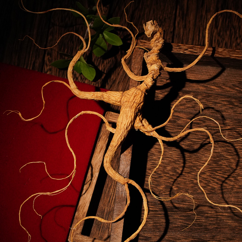 15-Year-Old Premium Wild Ginseng, Changbai Mountain Ginseng