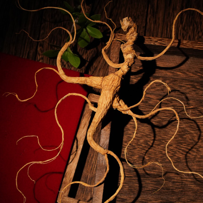 15-Year-Old Premium Wild Ginseng, Changbai Mountain Ginseng