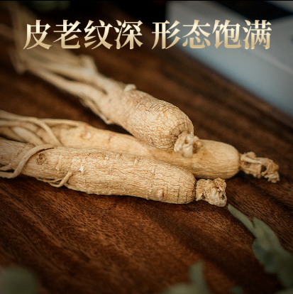 Single-root dried ginseng, whole root - Changbai Mountain ginseng-CBM GINSENG