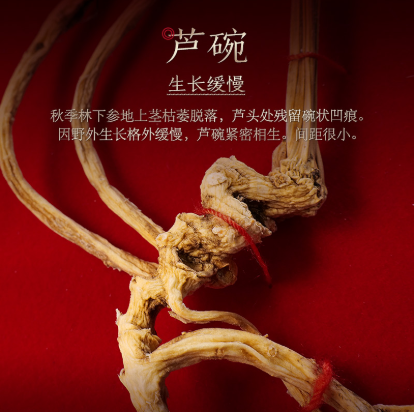 15-Year-Old Premium Wild Ginseng, Changbai Mountain Ginseng