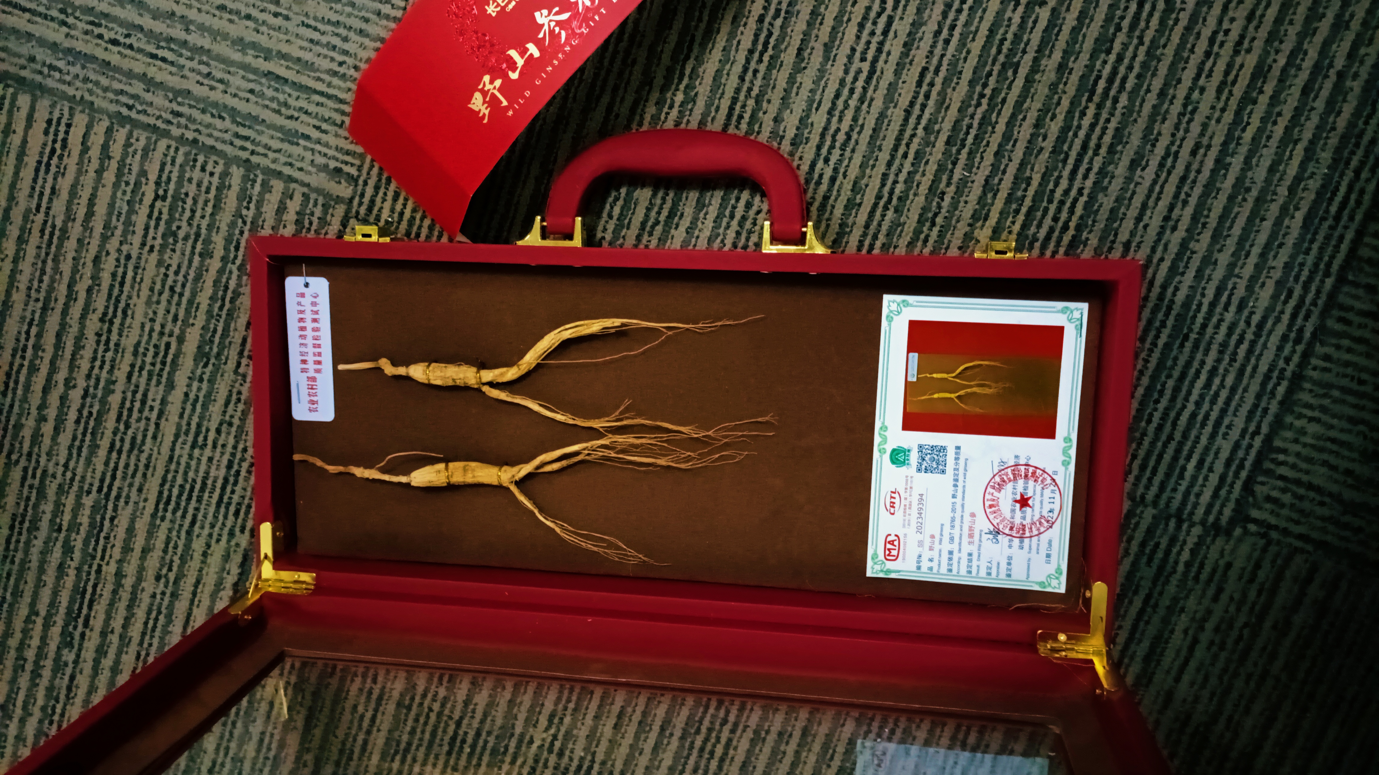 🌿What Makes Northeast China Ginseng So Special?-CBM GINSENG