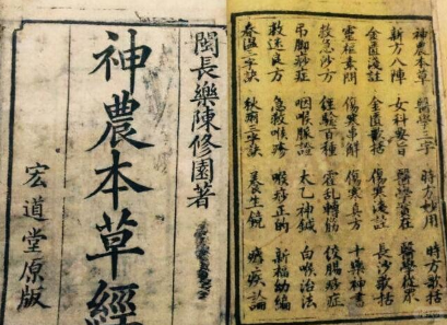 神農本草經，紅參，ginseng，cbmginseng，人參，野山參