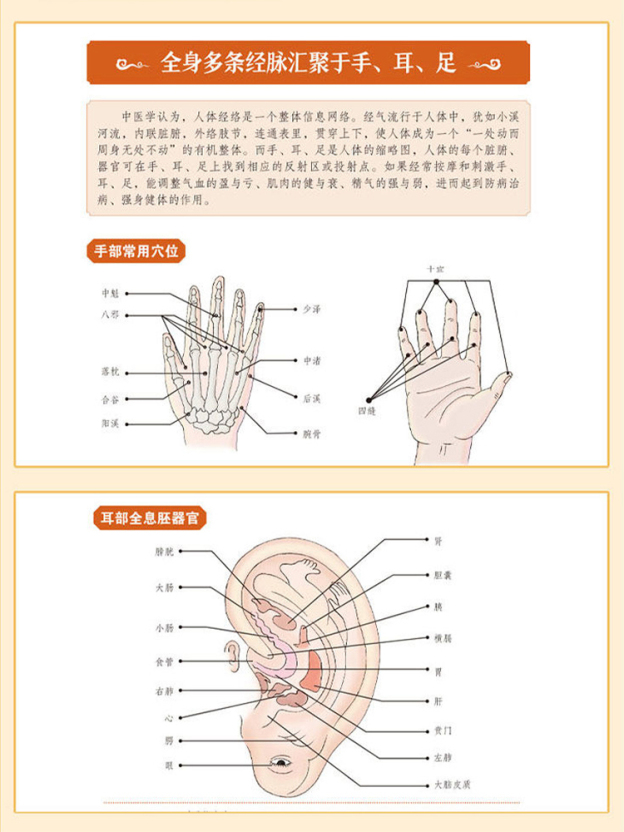 【自己和家人的健康管理師】徒手按摩治百病