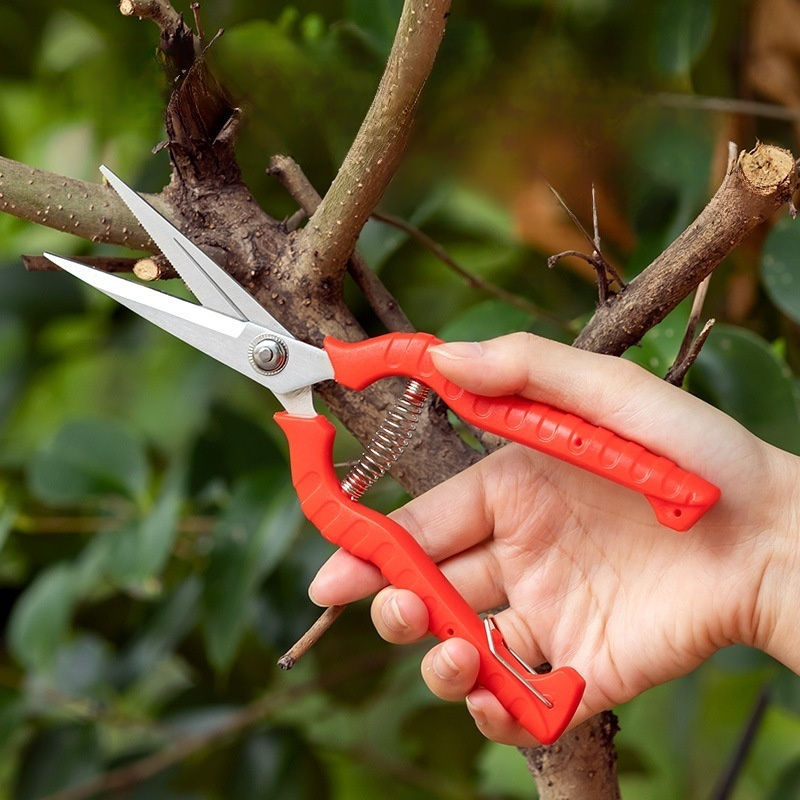 Stainless steel branch scissors