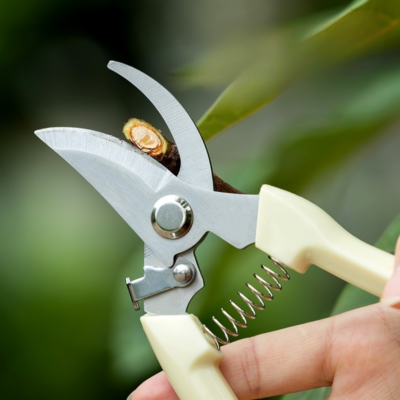 Stainless steel branch scissors