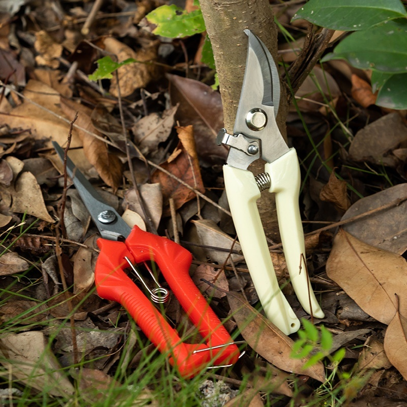 Stainless steel branch scissors