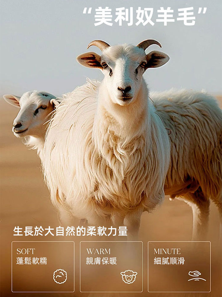 秋冬加絨高腰女褲