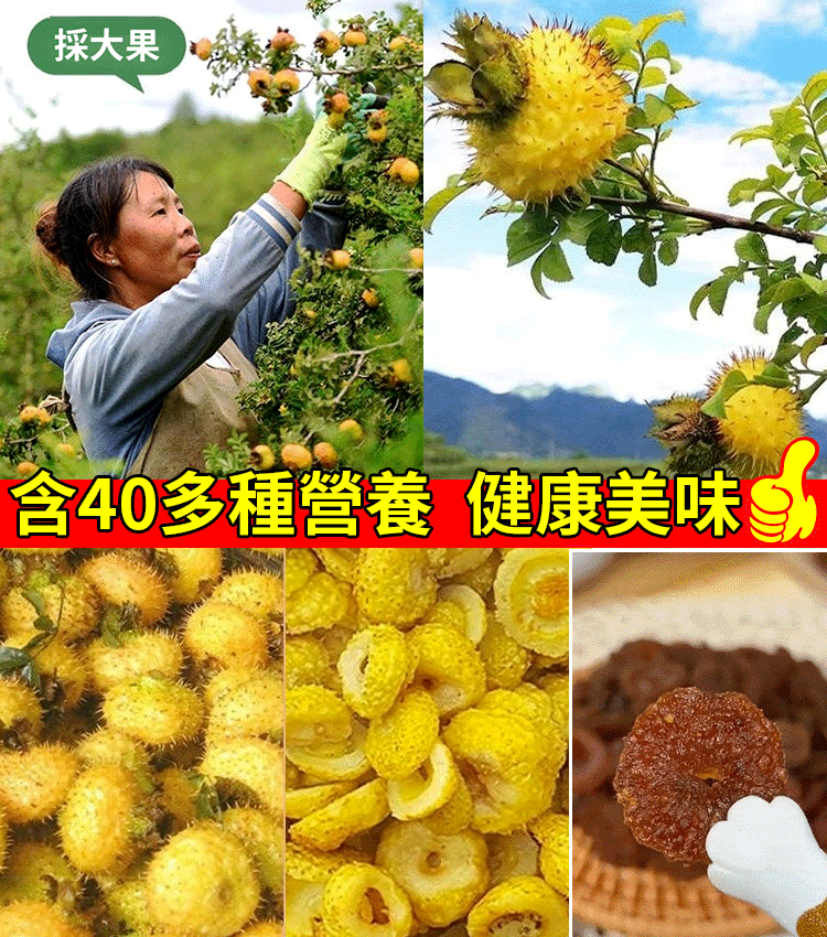 純手工刺梨乾，補維 C 選它