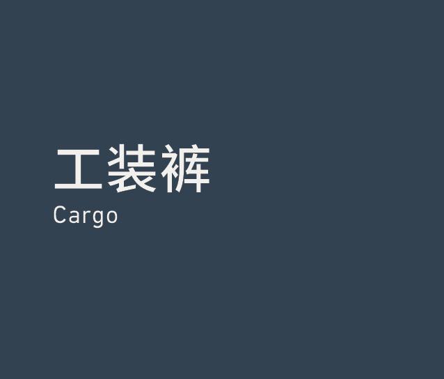 Cargo 工装裤