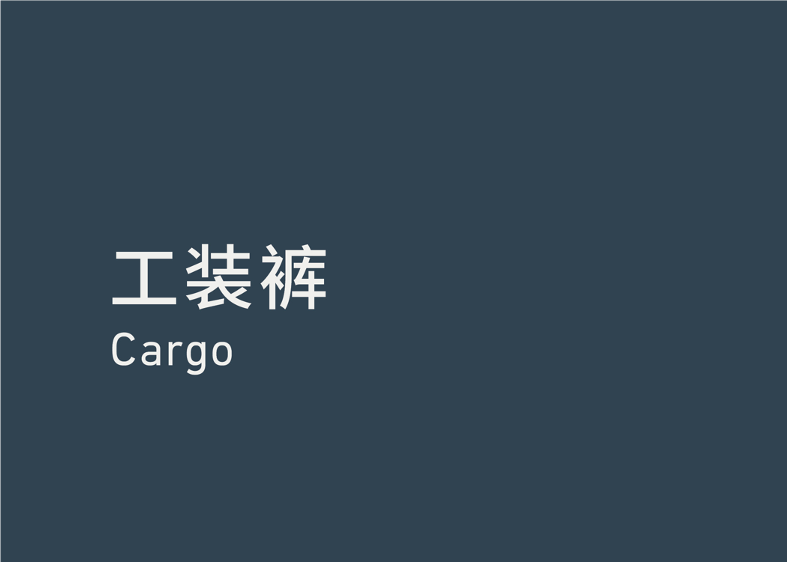 Cargo 工装裤