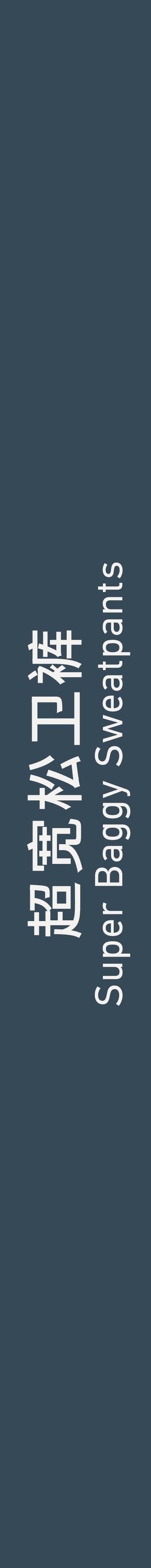 Super Baggy Sweatpants 超宽松卫裤