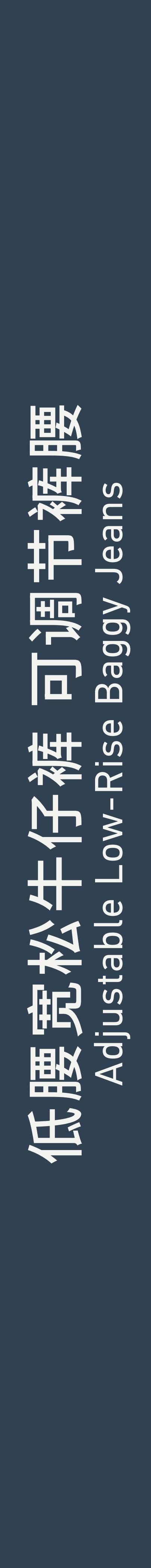 Adjustable Low-Rise Baggy Jeans 低腰宽松牛仔裤 可调节裤腰