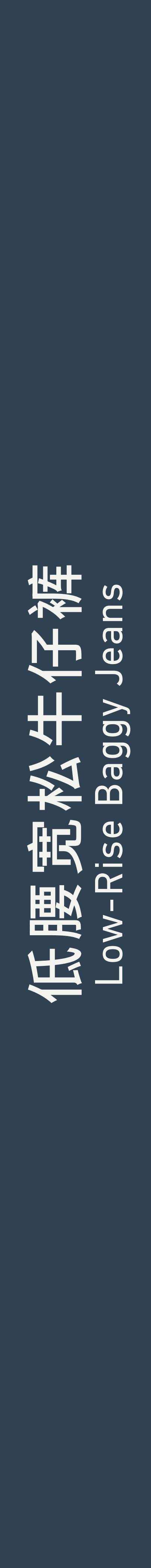 Low Rise Baggy Jeans 低腰宽松牛仔裤