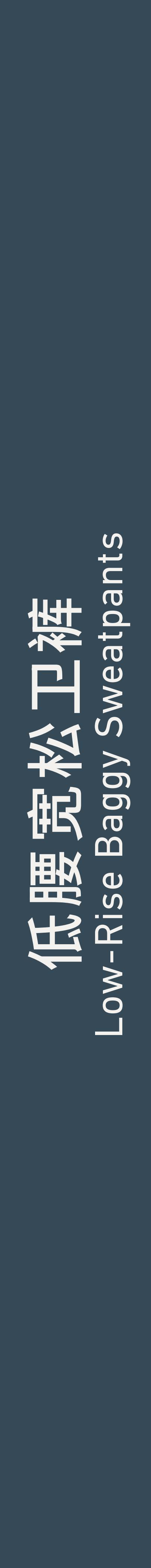 Low-Rise Baggy Sweatpants 低腰宽松卫裤
