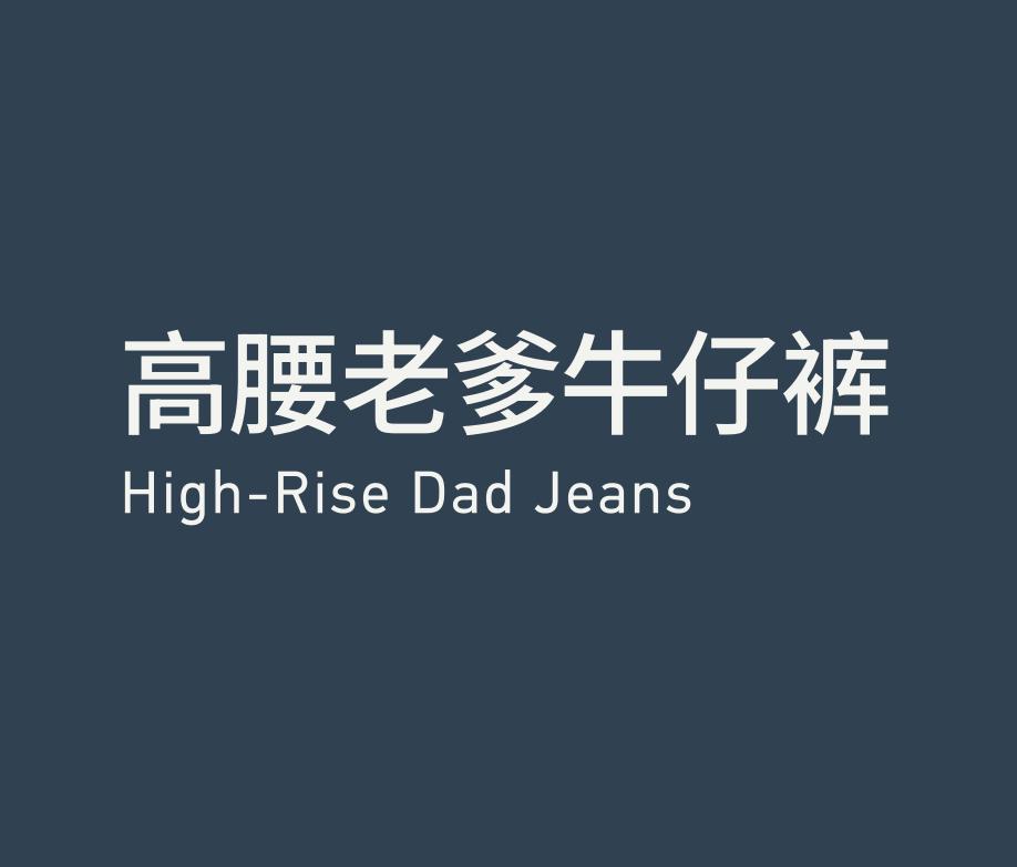 High-Rise Dad Jeans 高腰老爹牛仔裤