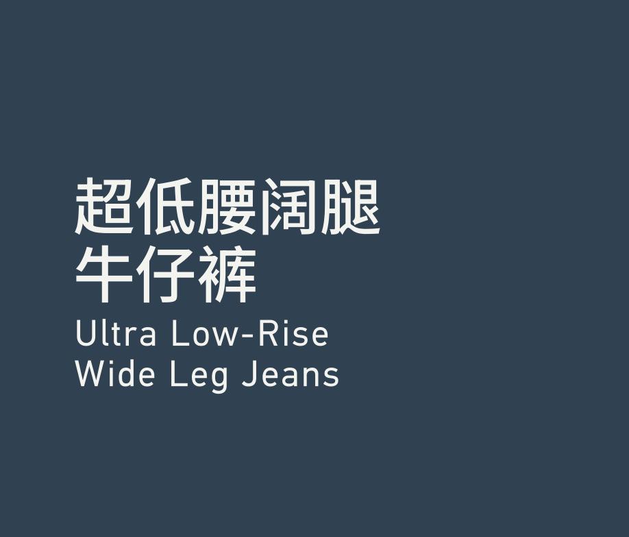 Ultra Low-Rise Wide Leg Jeans 超低腰阔腿牛仔裤