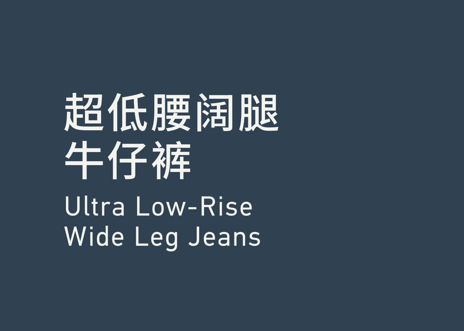 Ultra Low-Rise Wide Leg Jeans 超低腰阔腿牛仔裤