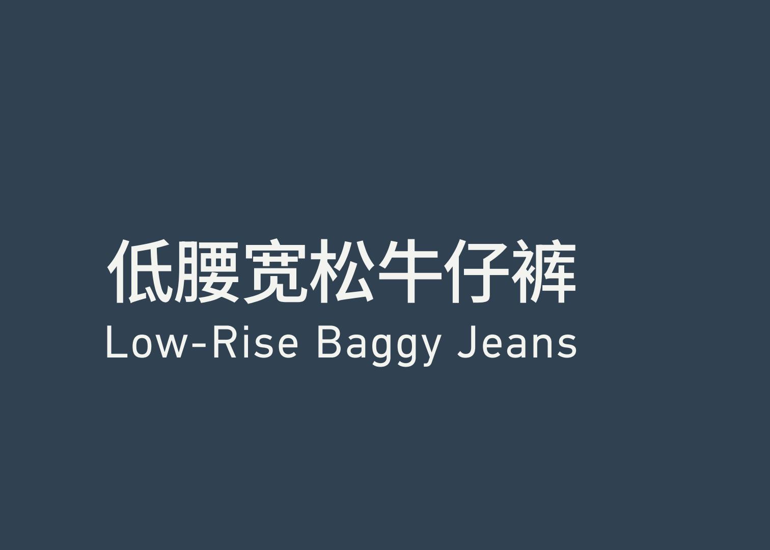 Low Rise Baggy Jeans 低腰宽松牛仔裤