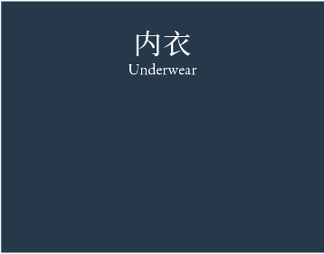 Underwear 内衣