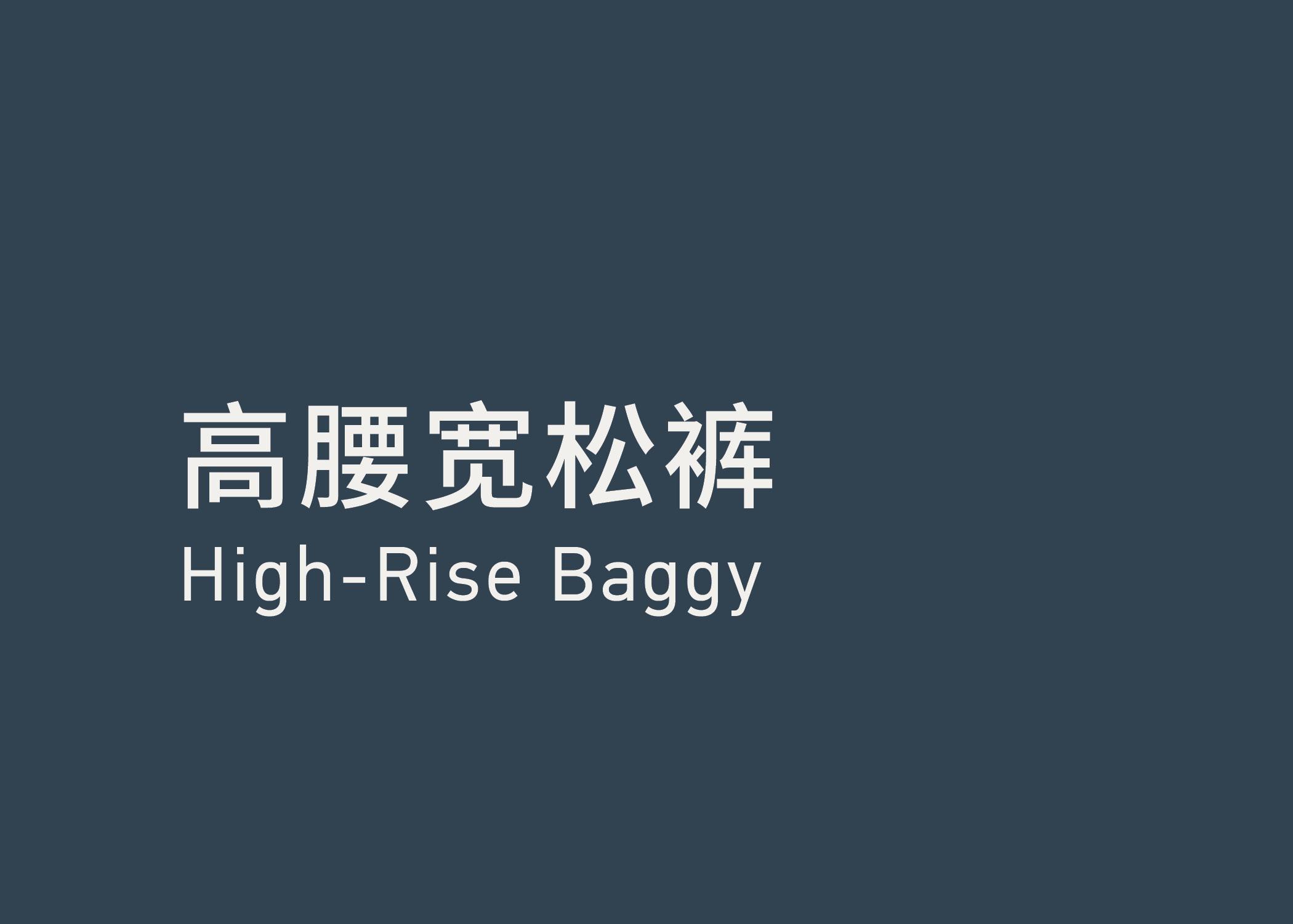 High-Riise Baggy 高腰宽松裤