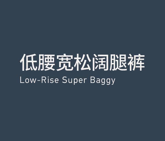Low-rise Super Baggy 低腰宽松阔腿裤