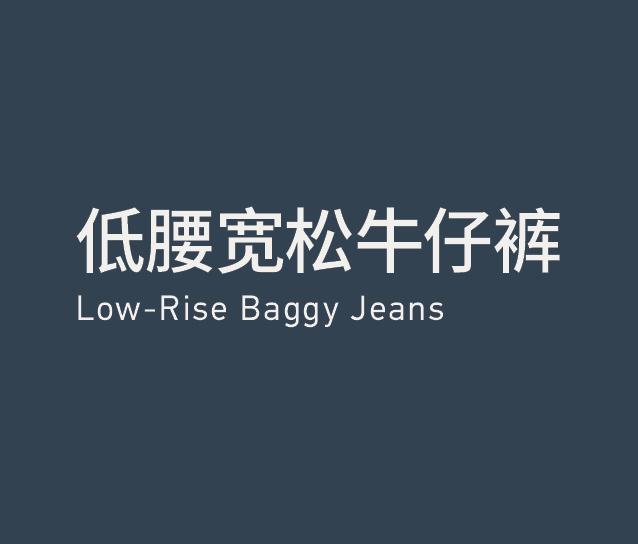 Low-rise Baggy Jeans 低腰宽松牛仔裤
