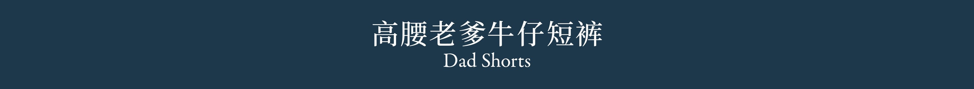 Dad Shorts 高腰老爹牛仔短裤