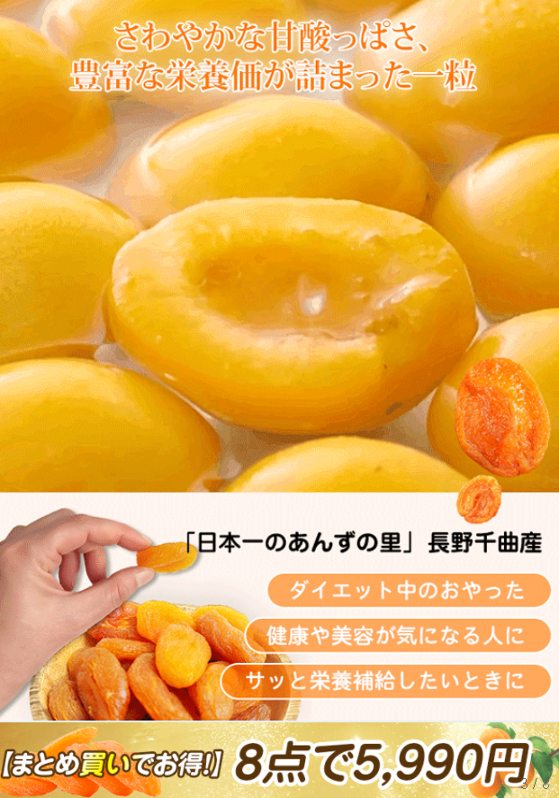無糖あんず干し